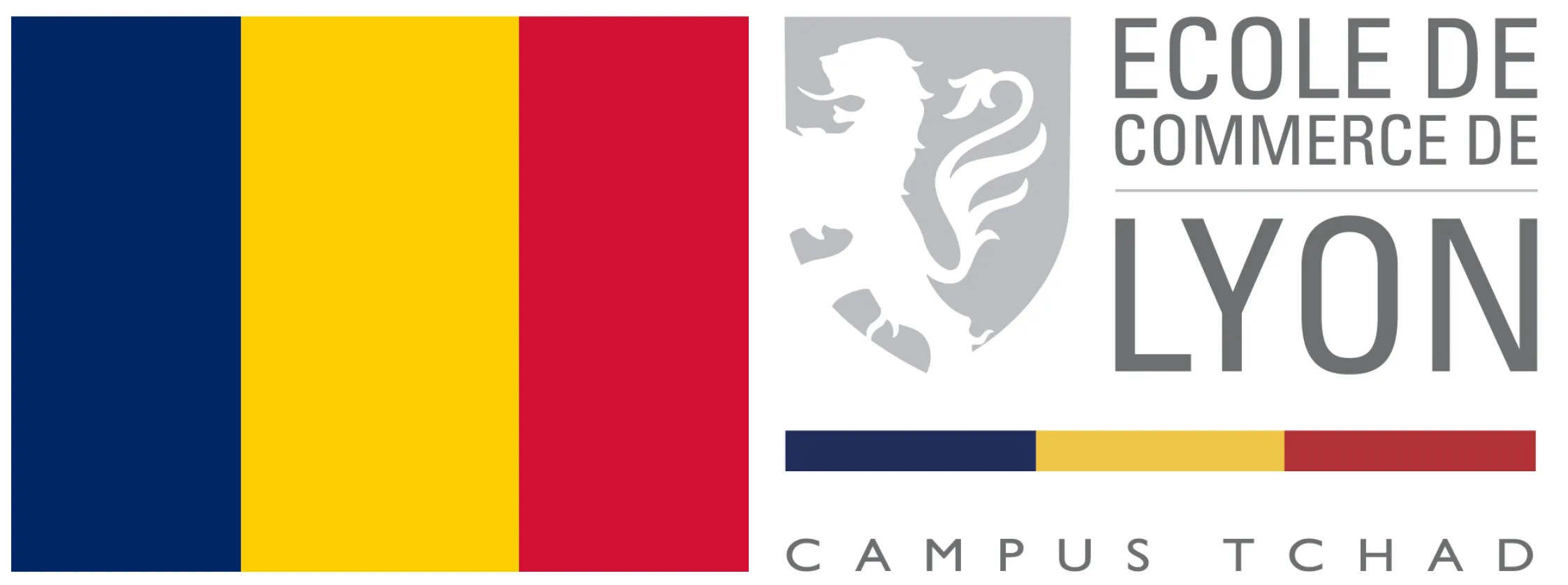 Campus de N'Djamena